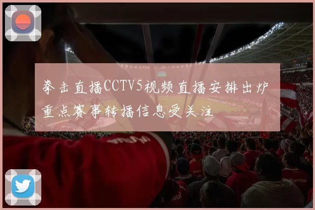 拳击直播CCTV5视频直播安排出炉 重点赛事转播信息受关注