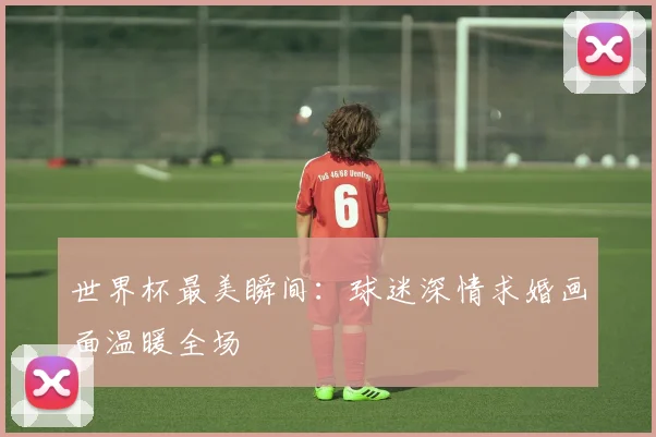 世界杯最美瞬间：球迷深情求婚画面温暖全场