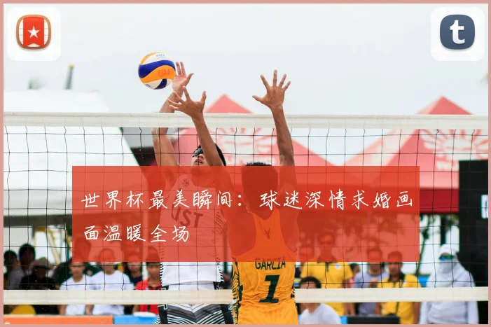 世界杯最美瞬间：球迷深情求婚画面温暖全场